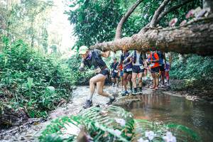 BIB: 
                            <button type="button" onclick="openModal(25449756)" class="btn btn-primary btn-sm float-right btn-popup" data-toggle="modal" data-target=".modal-high-quality">
                        <i class="fas fa-shopping-cart"></i> Add to Cart
                    </button>
                                            <button type="button" onclick="isThisMe(25449756, true)" class="btn btn-success btn-sm float-right btn-popup btn-isme hidden" data-toggle="tooltip" data-placement="bottom" title="นี่คือรูปของคุณใช่ไหม คลิกที่นี่เพื่อเอาเข้าอัลบั้ม">
                        <i class="fas fa-plus"></i> Add to album
                    </button>
                    <button type="button" onclick="isThisMe(25449756, false)" class="btn btn-warning btn-sm float-right btn-popup btn-isnotme hidden">
                        <i class="fas fa-ban"></i> Remove from album
                    </button>